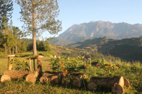 Jabez Resort Kundasang